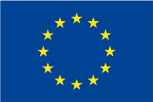 Flaga unia